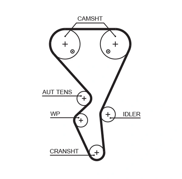 Timing Belt