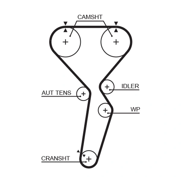 Timing Belt