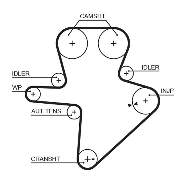 Timing Belt