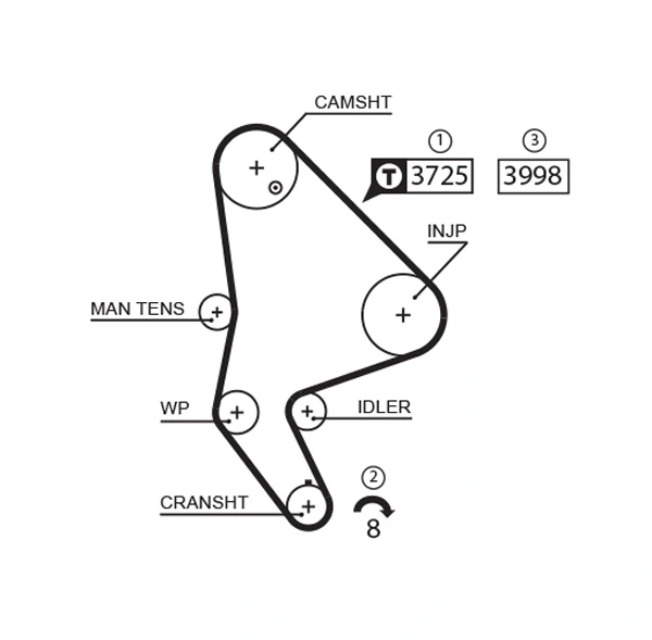 Timing Belt