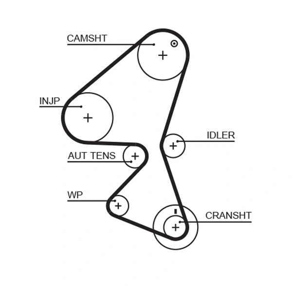 Timing Belt