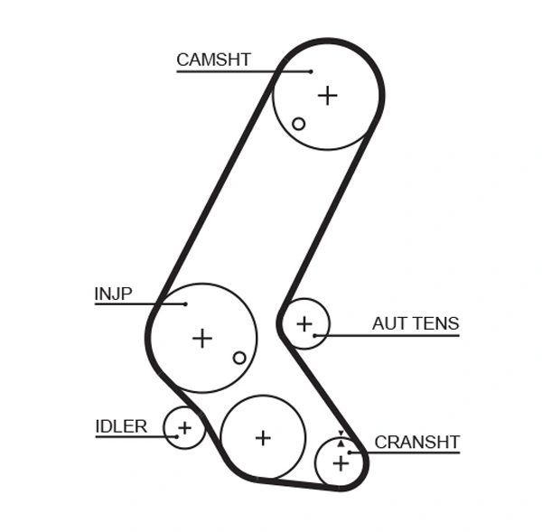 Timing Belt