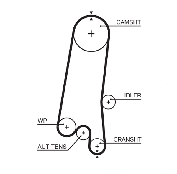 Timing Belt