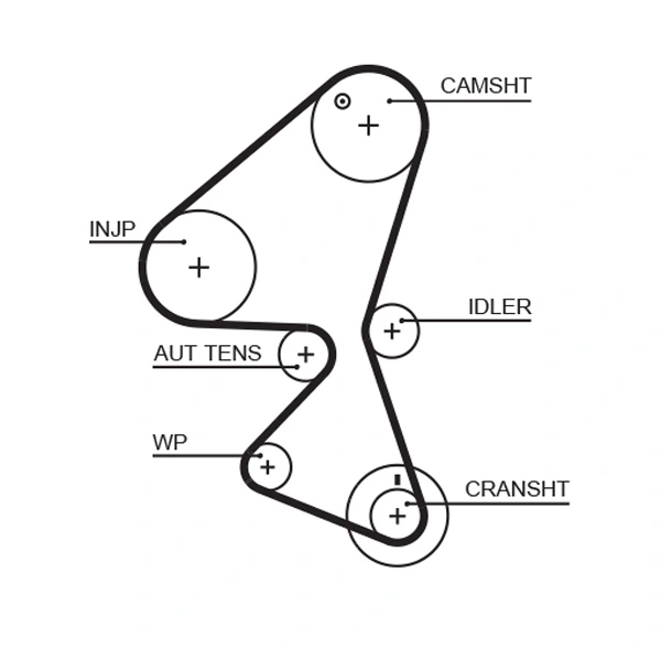 Timing Belt