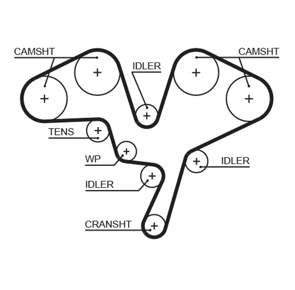 Timing Belt
