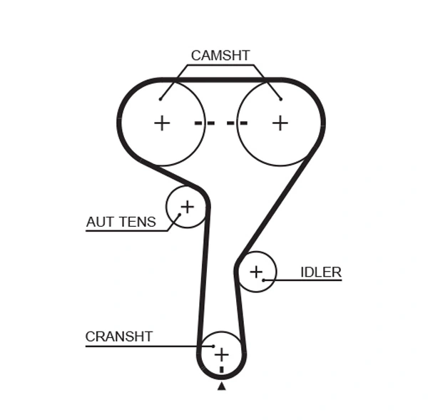 Timing Belt
