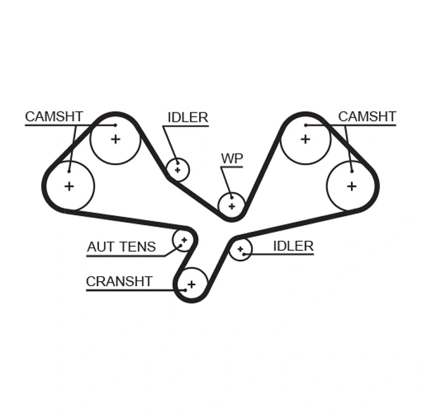 Timing Belt