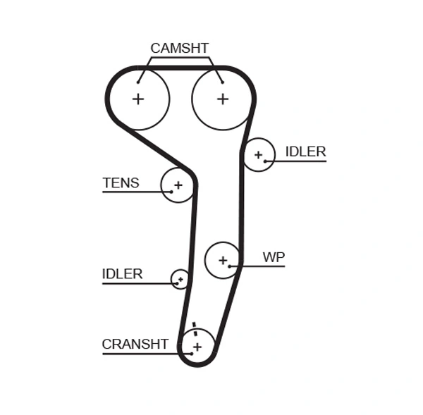 Timing Belt
