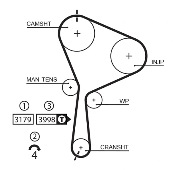Timing Belt
