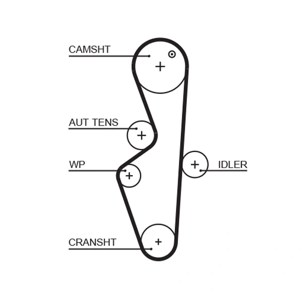 Timing Belt