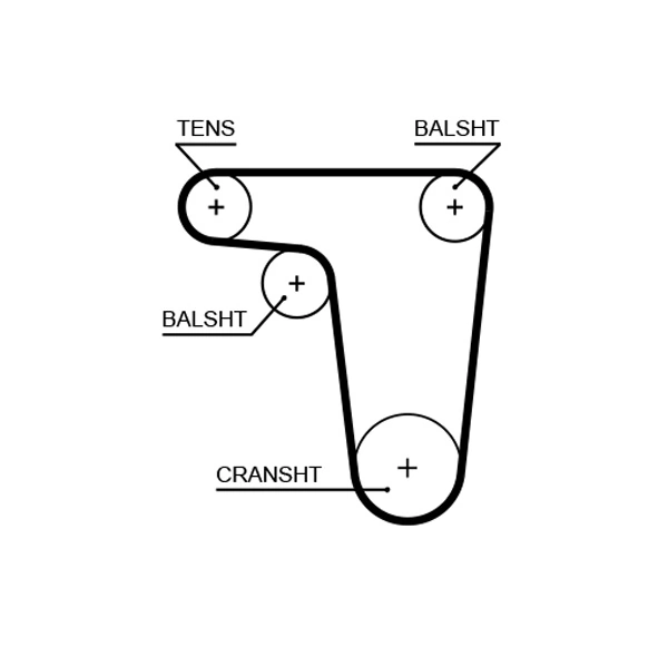 Timing Belt