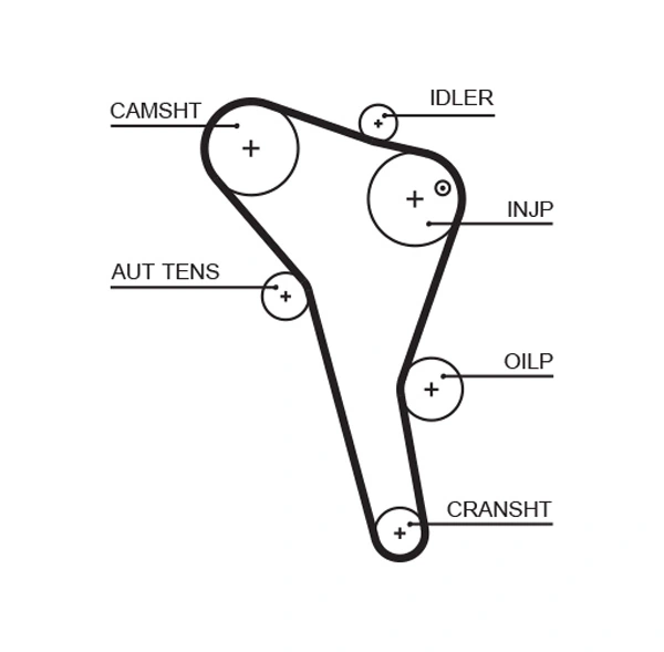 Timing Belt