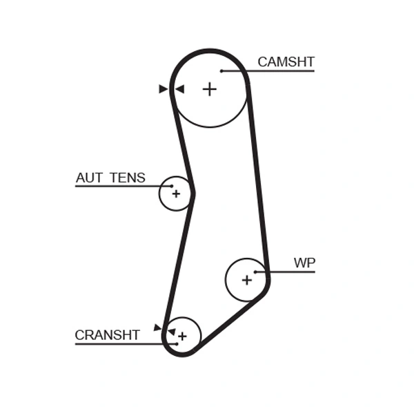 Timing Belt