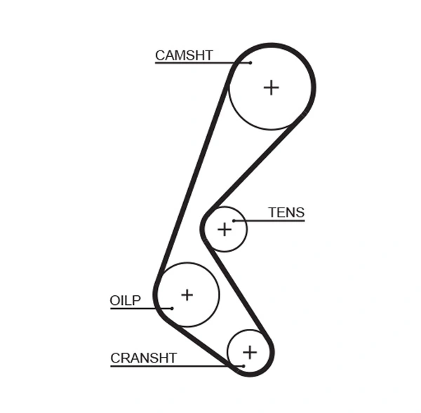 Timing Belt