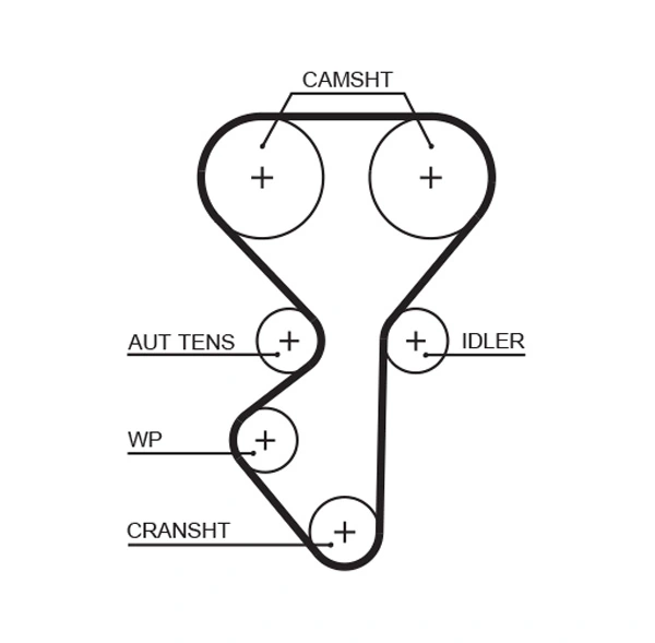 Timing Belt