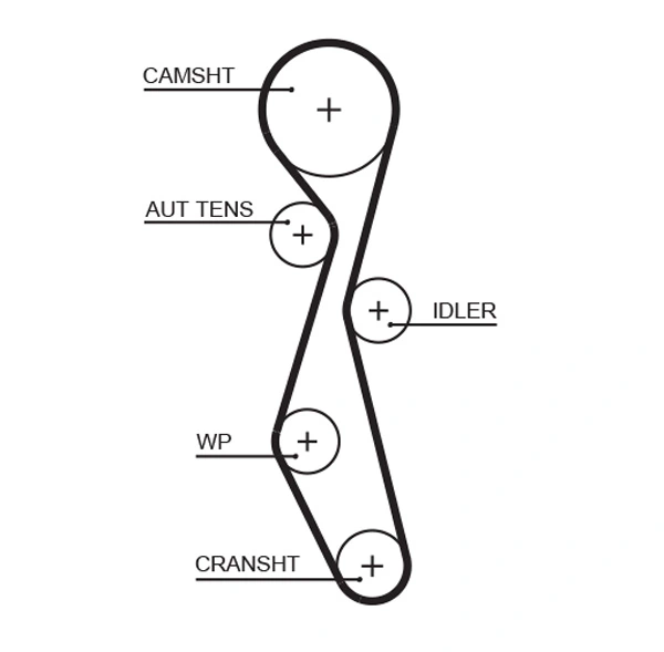 Timing Belt