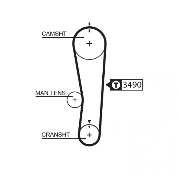Timing Belt