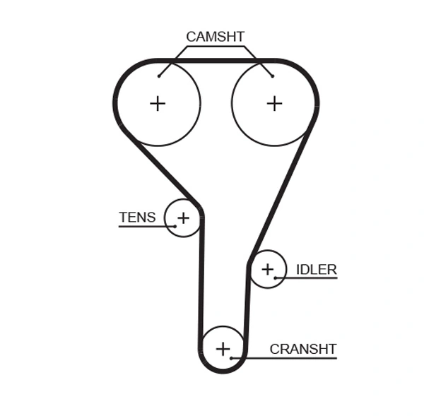 Timing Belt