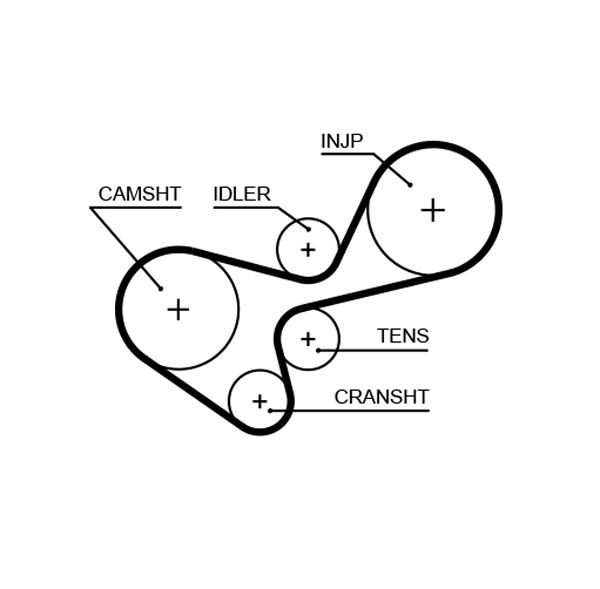 Timing Belt