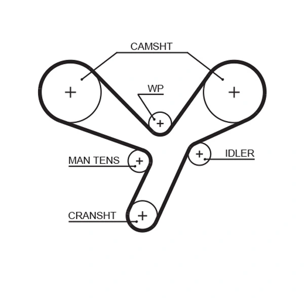 Timing Belt