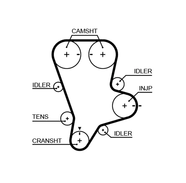Timing Belt