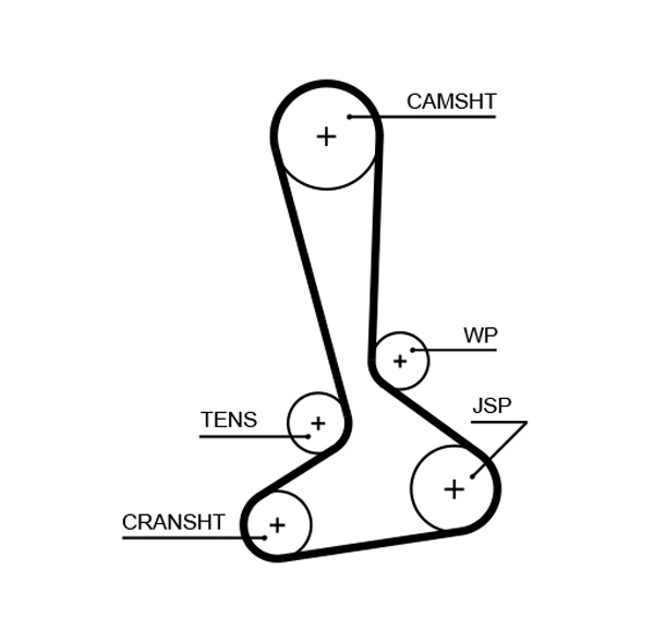 Timing Belt