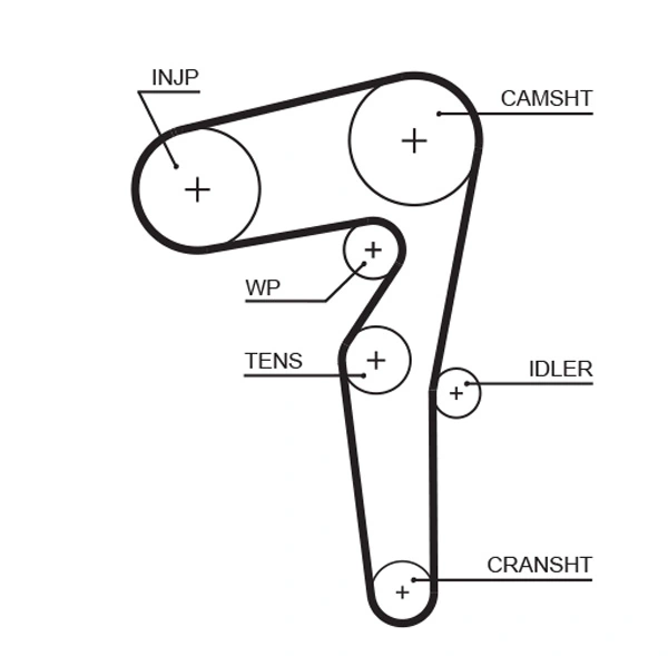Timing Belt