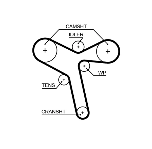 Timing Belt