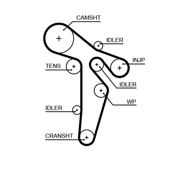 Timing Belt