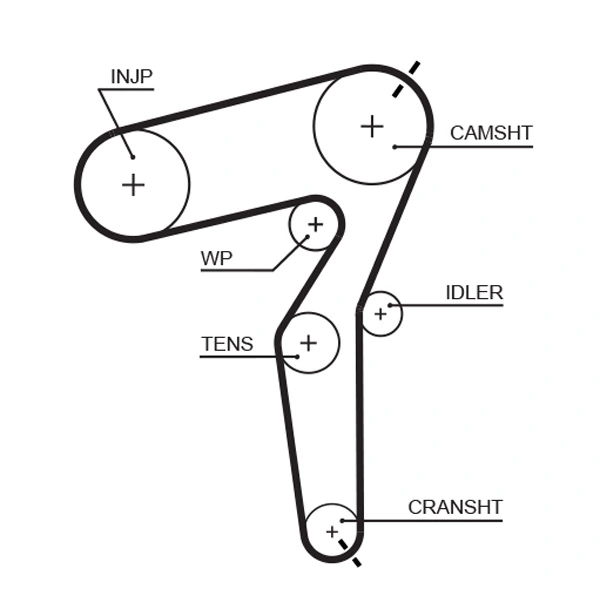 Timing Belt