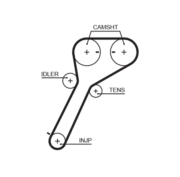 Timing Belt