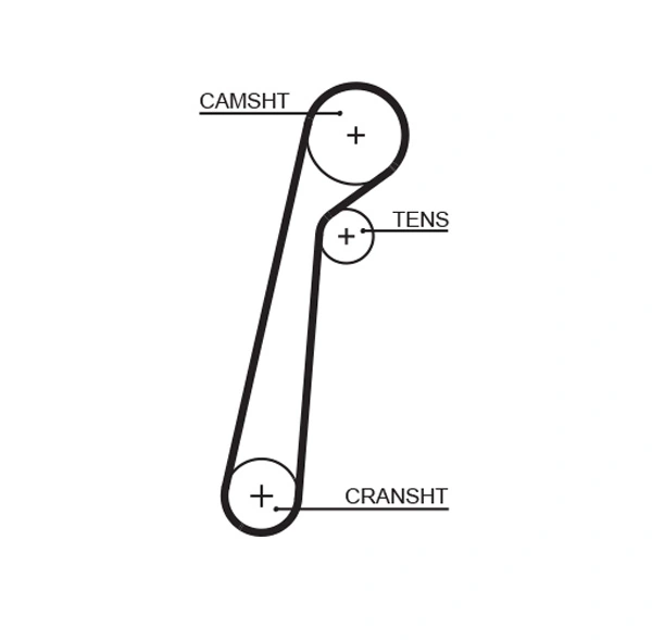 Timing Belt