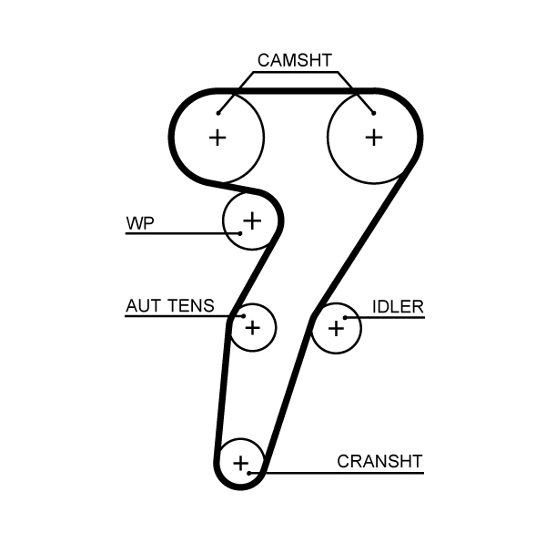 Timing Belt
