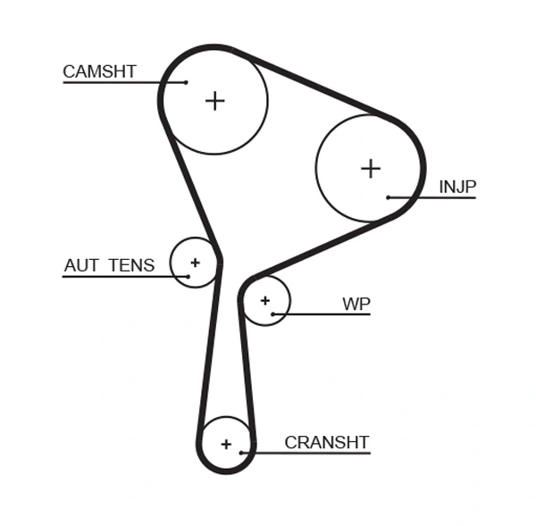 Timing Belt