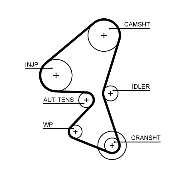 Timing Belt