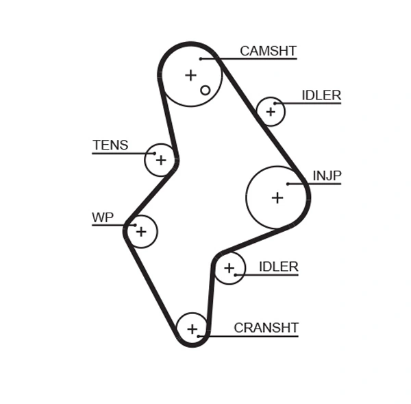 Timing Belt