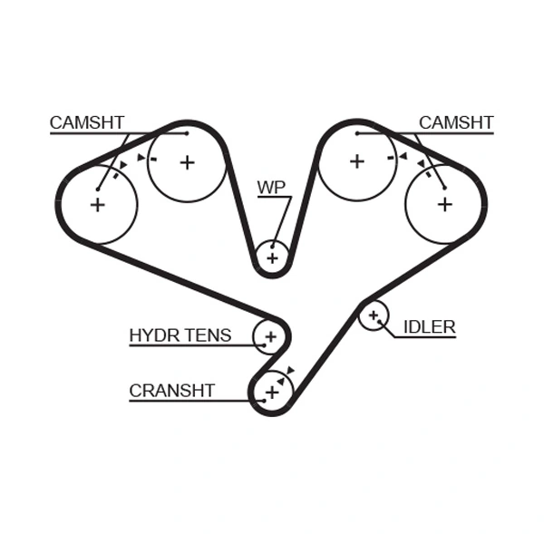 Timing Belt