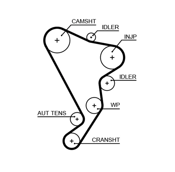 Timing Belt