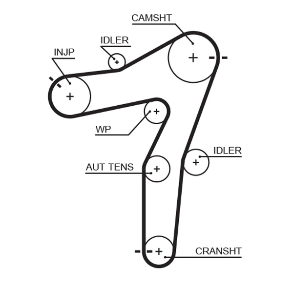 Timing Belt
