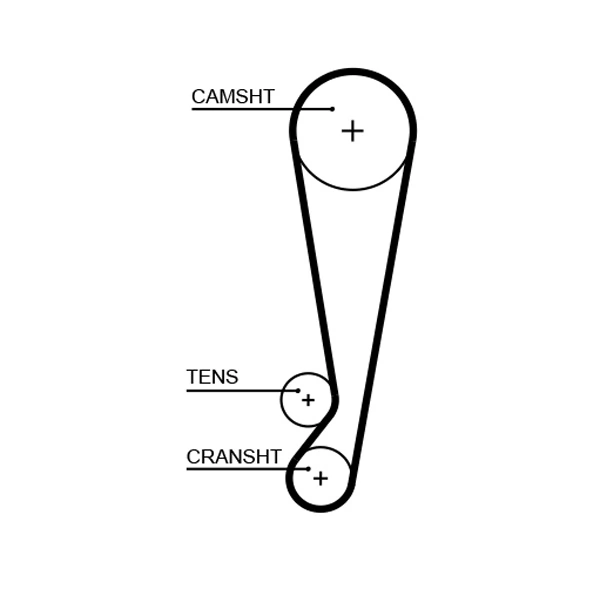Timing Belt