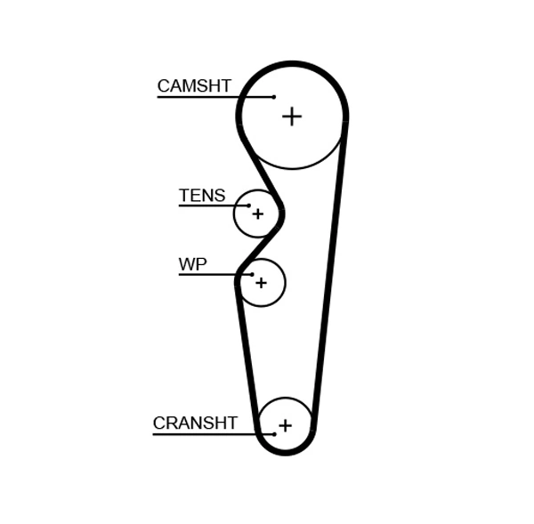 Timing Belt