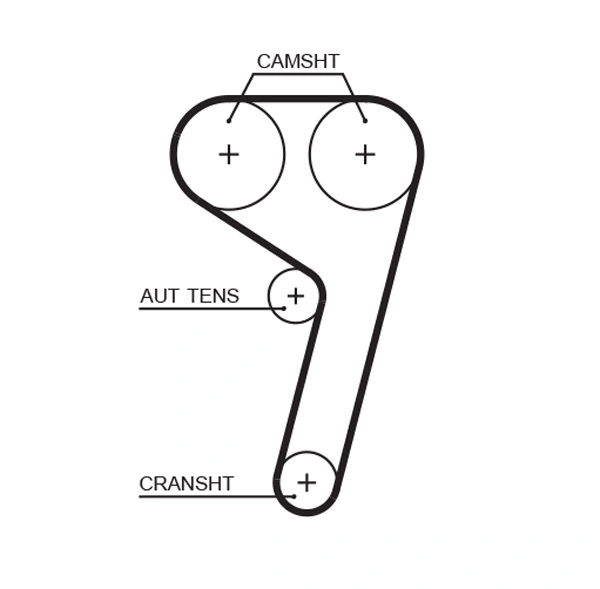 Timing Belt