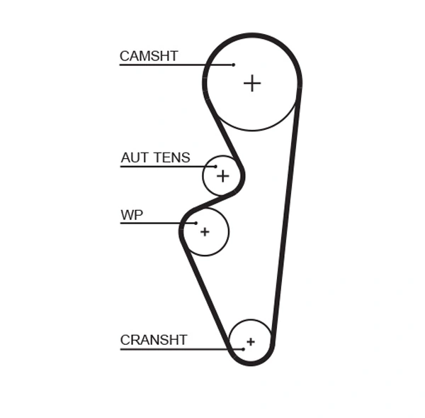 Timing Belt