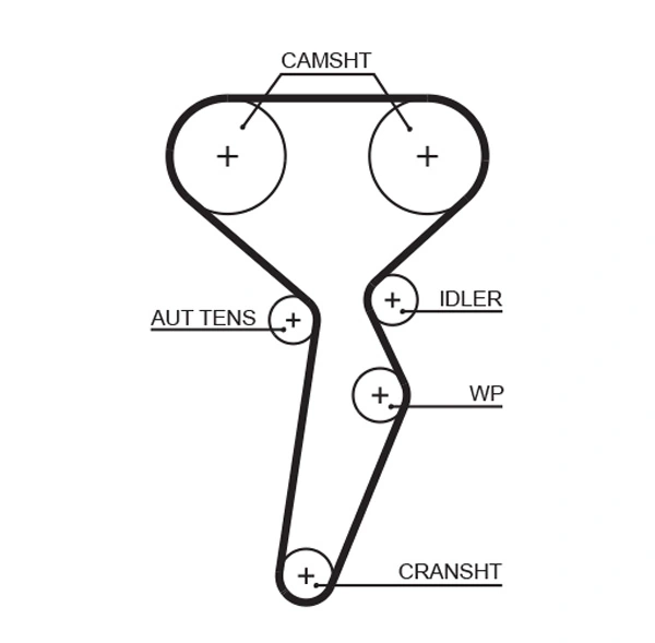 Timing Belt