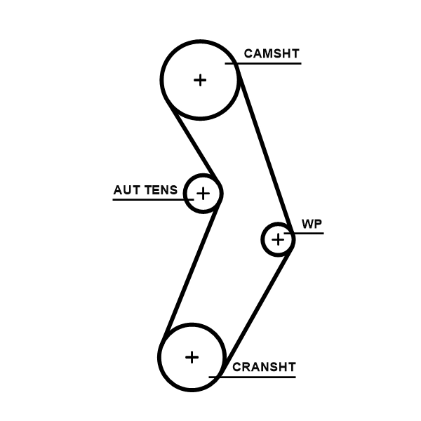 Timing Belt