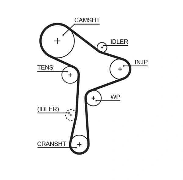 Timing Belt