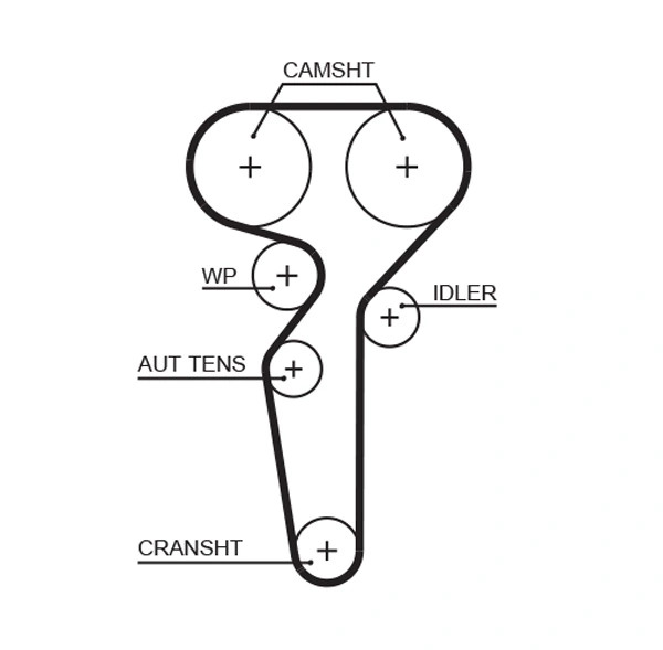Timing Belt
