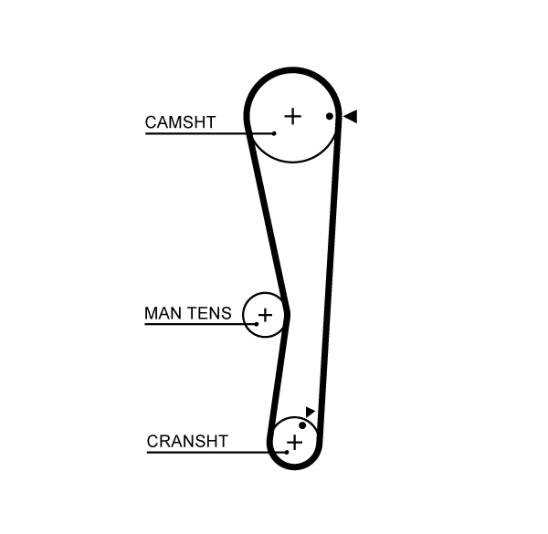 Timing Belt
