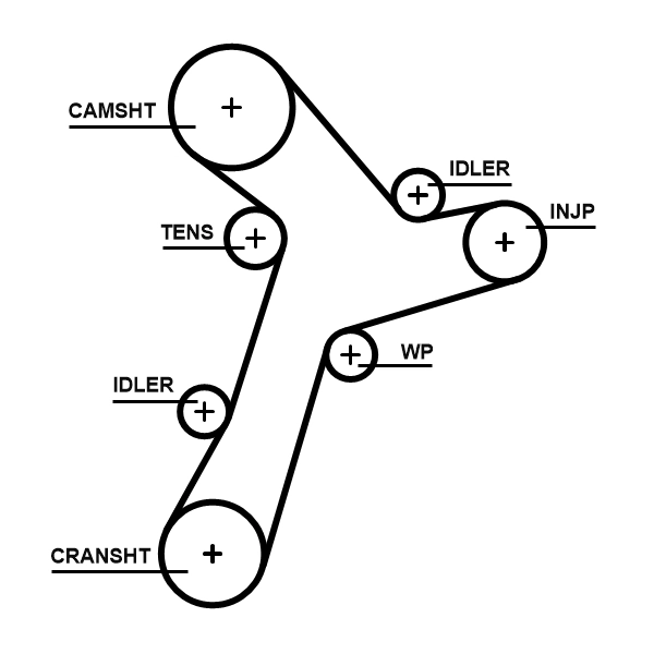 Timing Belt
