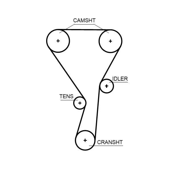 Timing Belt